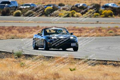 media/Nov-16-2024-Extreme Speed (Sat) [[6587d07cc4]]/Gold Group/Session 2 (Turns 3 and 5)/
